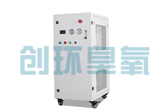 武汉石斑鱼养殖水质调控完整指南:臭氧发生器配置与操作步骤