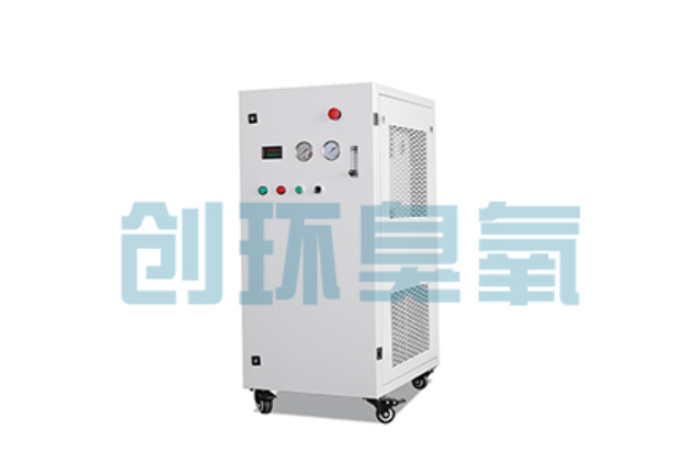 武汉2026年石斑鱼养殖新趋势:为什么高密度循环水必须配备臭氧发生器?