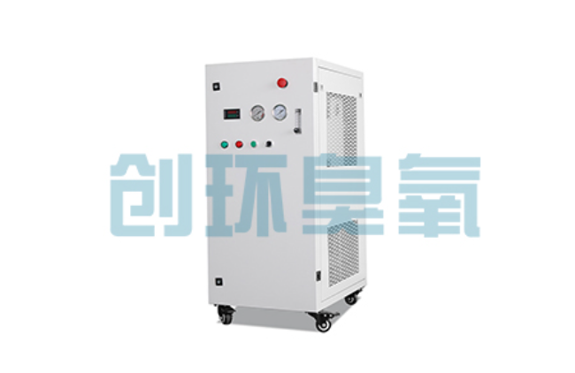 武汉比传统换水更高效?臭氧发生器在石斑鱼养殖中的水质净化原理解析